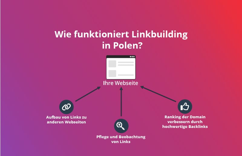 Rankings Top con Linkbuilding Polonia